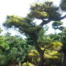 남송농원 이미지