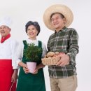 종합도우미사무소 이미지