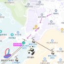 금호타이어중앙카랜드 | 에버랜드 문라이트 퍼레이드+불꽃쇼 명당｜야간 공연 시간, 동선 완벽 정리(4살 아이랑)