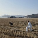 순천만 흑두루미 국제 심포지엄 | 순천시, 흑두루미 9마리 위치추적 완료