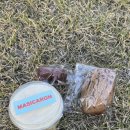 마시카롱 이미지