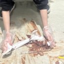 구지로211번길 네이버블로그