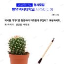 디자인미디어