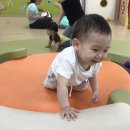 용산-313 이미지