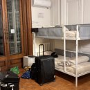 여왕벌민박 이미지