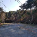 명봉산솔밭관광농원오토캠핑장 이미지