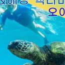 글로벌원투어 - 부산진구 서전로47번길 19 | 글로벌원투어