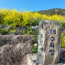 모진이해수욕장 Daum카페