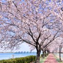 하단동1162 이미지