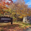 운장산자연휴양림 | 진안 운장산자연휴양림 캐빈 이용후기 2025년 재개장한 야영장 데크정보