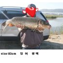 진산낚시터