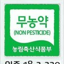 무농약 제주 미니밤호박(보우짱) 50% 맛보기 이벤트 이미지