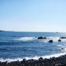 제주 올레길 8코스 이미지