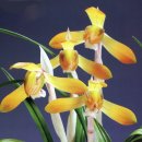 (주)금화 이미지