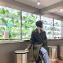 고센하우스 이미지