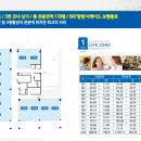 반곡동_시드니블루 네이버블로그