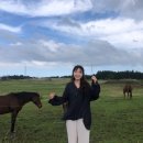 명랑목장 이미지