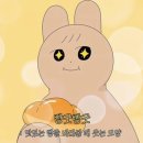 24.11월