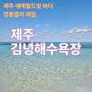 김녕해수욕장 | 제주도 김녕해수욕장 후기, 아이들과 깡통열차 체험까지.