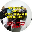 싼피시