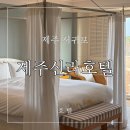 신라카써비스 | 제주 여행 중 가장 만족스러웠던 시간, 제주신라호텔 스위트룸 후기