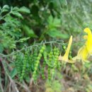 지리산아침 이미지