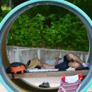 ▶자연과 생활 (2015/08월/2째주) 이미지