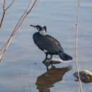 화서동 농협 | 따스한 겨울날 찾아보는 수원서호공원 (2026-2-23)