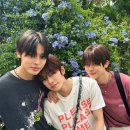 엔시티 카카오 검색결과
