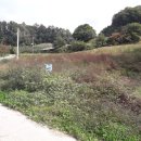 모아부동산중개사무소 이미지