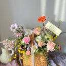 사파동242 이미지