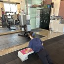 셀럽바디 이미지