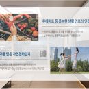 한림우체국[동] 네이버블로그
