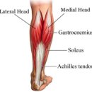 턴피트니스 이미지