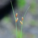 하늘지기 이미지