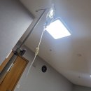 윌메디칼 | 치질 재수술 후기(2번 수술 경험담) l 치핵 변비 관리의 중요성