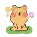 아리랑목살 이미지