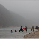 멍멍이 달린다 이미지