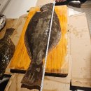 대광낚시 | [초보자 성공] 54cm 자연산 광어회 포뜨기 도전!! 매운탕과 회덮밥까지 홈 코스 요리