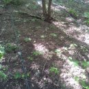 옥천농장 이미지