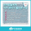 리안 동물병원 이미지