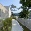 동백맨션 | [거제 감성숙소] 동백맨션101호 다녀왔어요🫶🏻