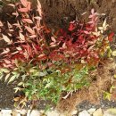 김용호 농장 이미지