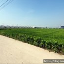 동진부동산중개사무소 이미지