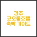 경주슈퍼 | 경주 코오롱호텔 조식, 사우나까지 프리미어 슈퍼트윈 솔직 이용 후기