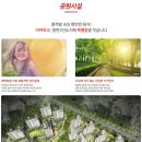 동탄아이파크 경로당 이미지
