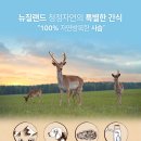 앤투게더펫 이미지