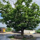 마을회관 이미지