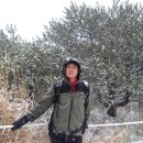 표충사주차장 이미지