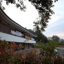 향남오토캠핑장 이미지